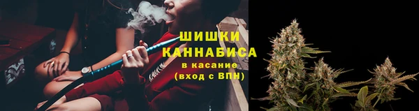ГАЛЛЮЦИНОГЕННЫЕ ГРИБЫ Новокубанск
